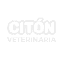 Citon